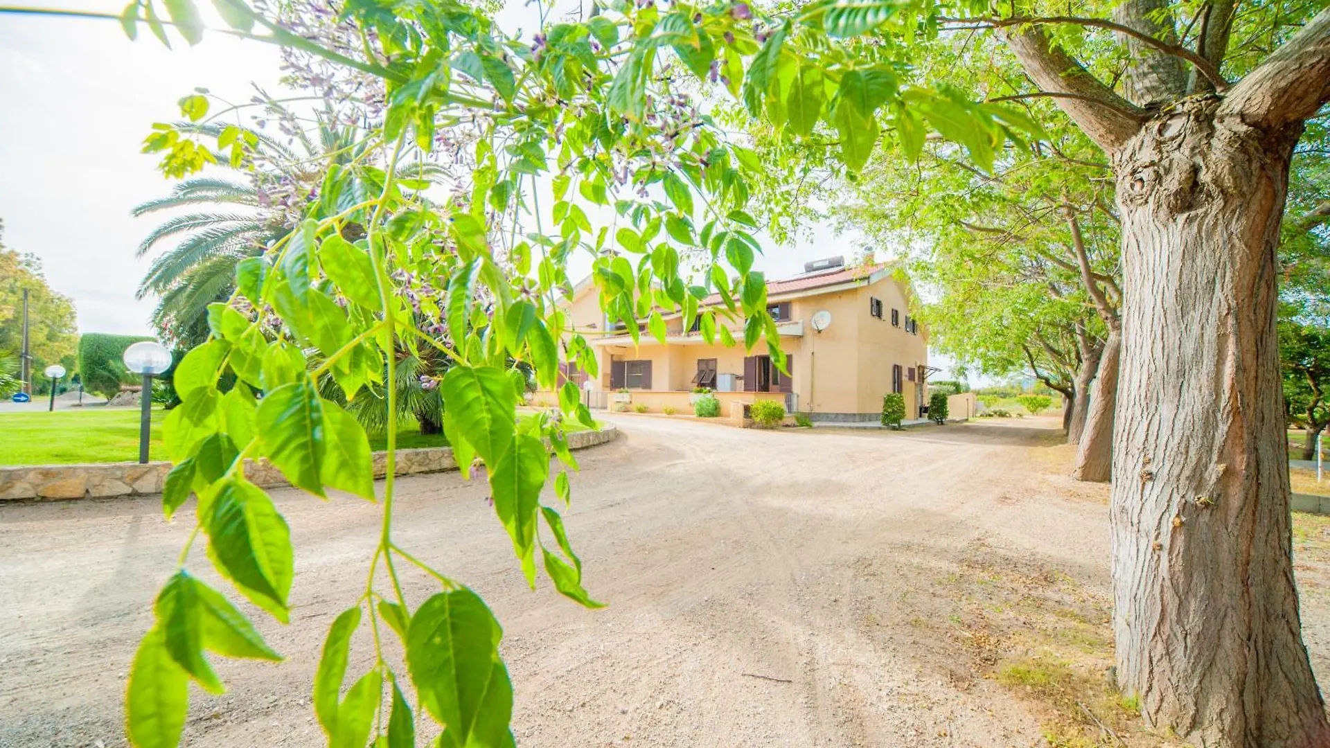 ** Bed & Breakfast Bonsai B&B Alghero Santa Maria la Palma Italy